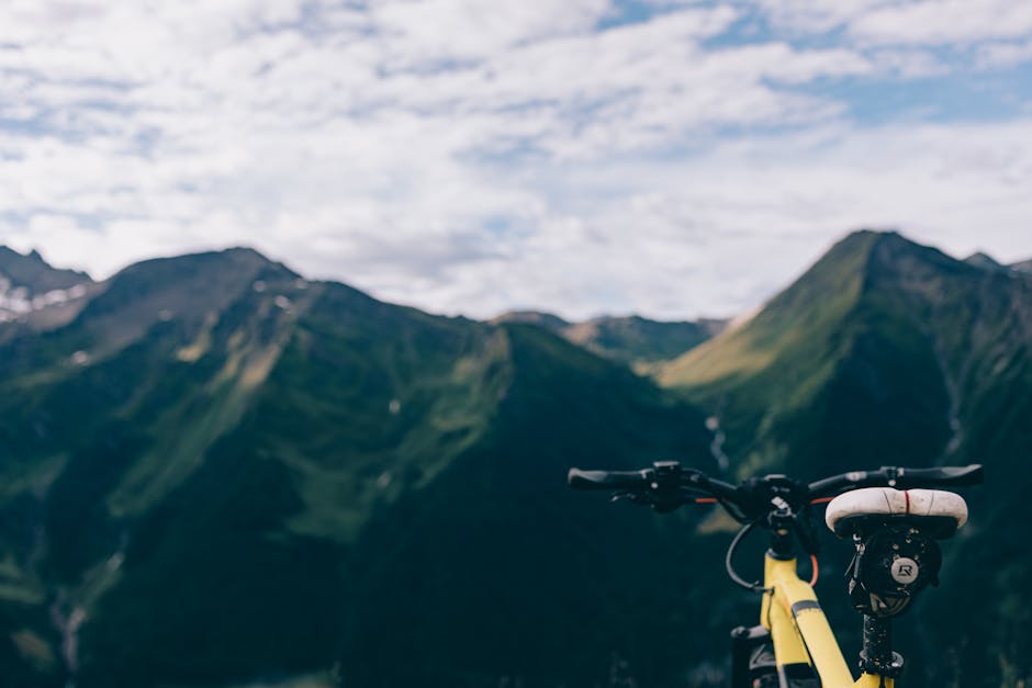 Road Cycling vs Mountain Biking: Which Is Right for You?